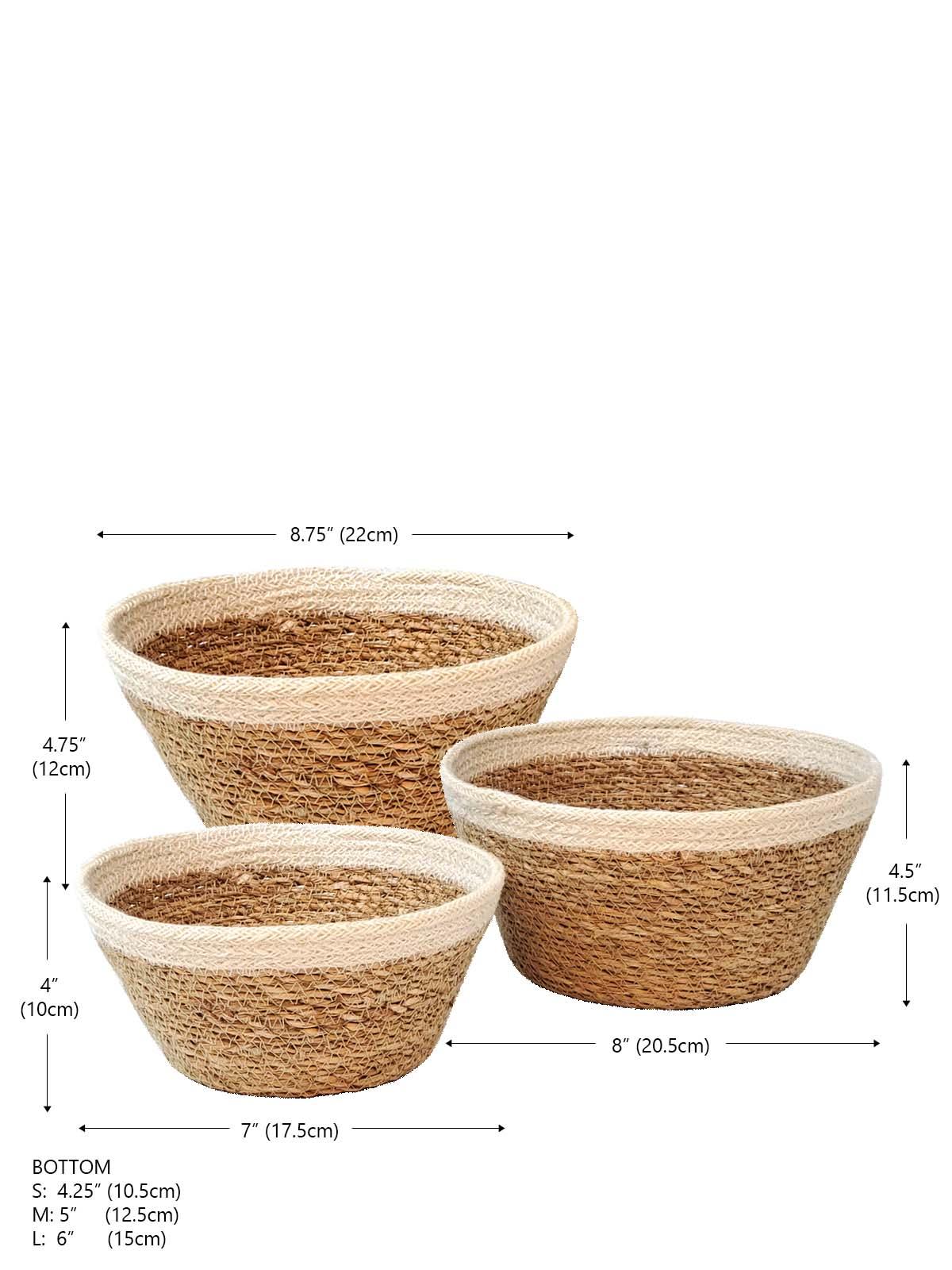 Savar Plant Bowl (Set of 3) - Plant Paradise Boutique