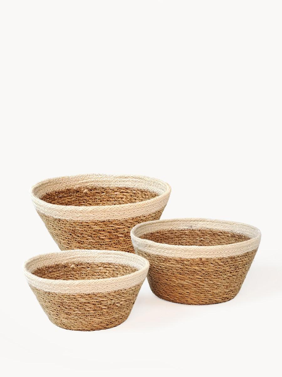 Savar Plant Bowl (Set of 3) - Plant Paradise Boutique