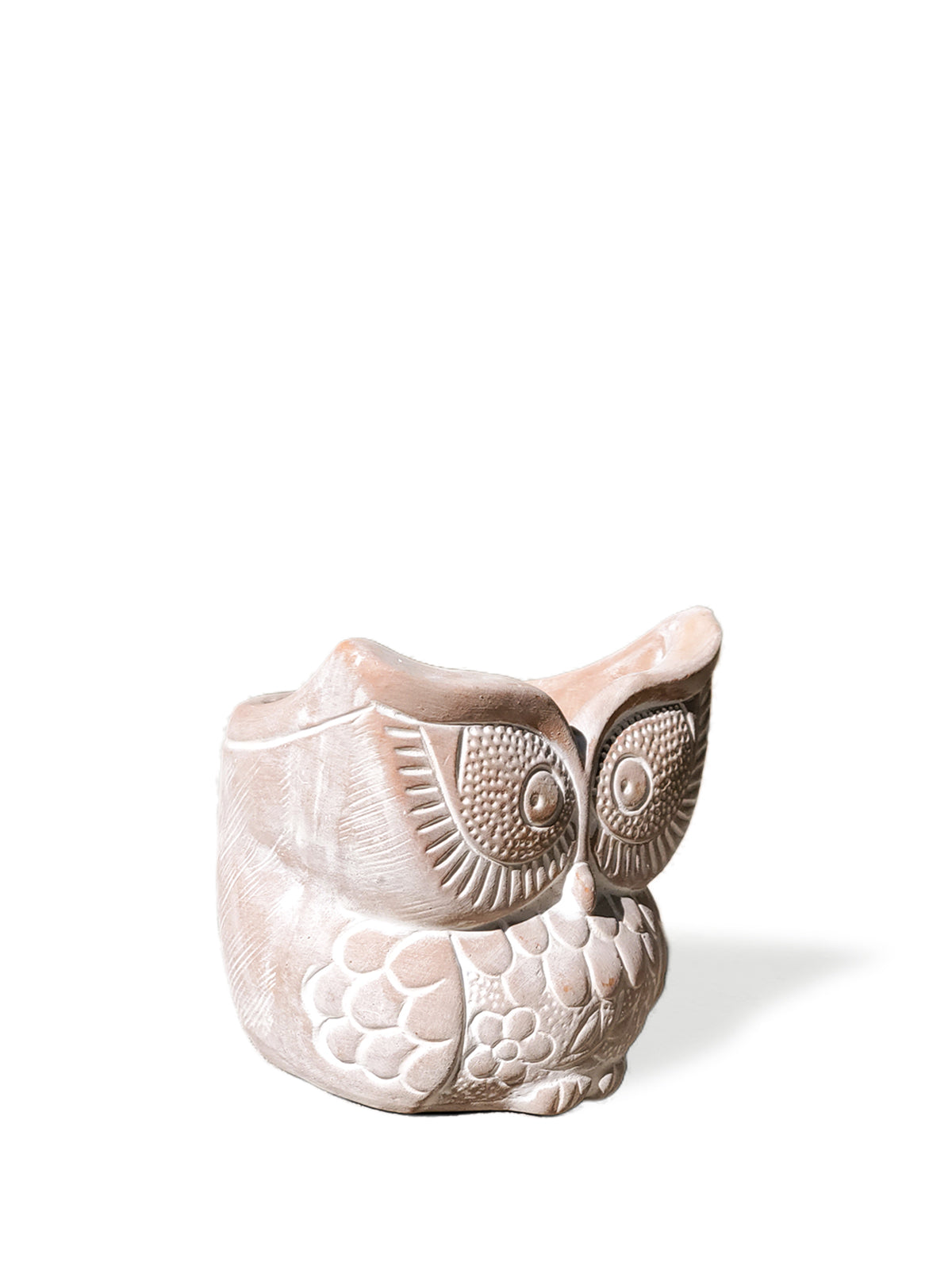 Big Eye Owl Terracotta Pot