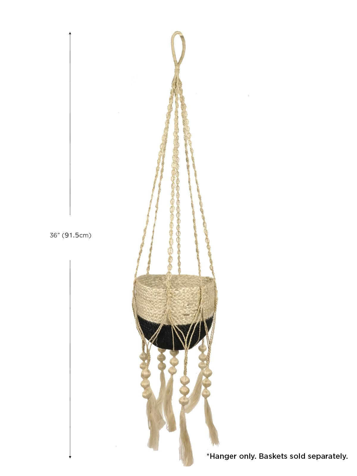 Fiora Hanging Basket - Plant Paradise Boutique