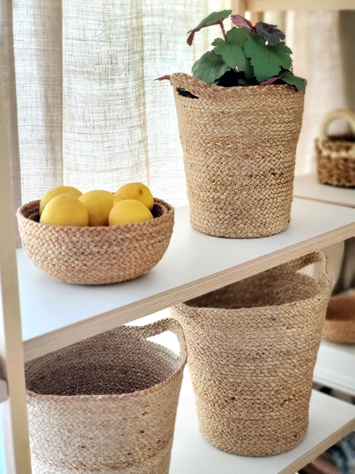 Slit Handle Kata Basket - Plant Paradise Boutique