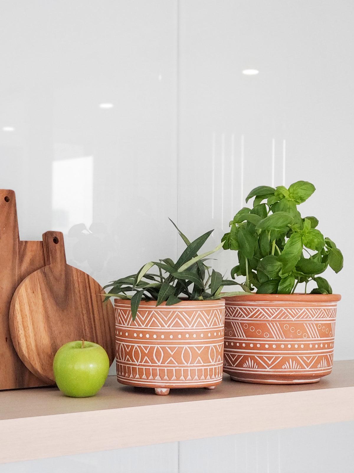 Small Hand Etched Terracotta Pot - Plant Paradise Boutique
