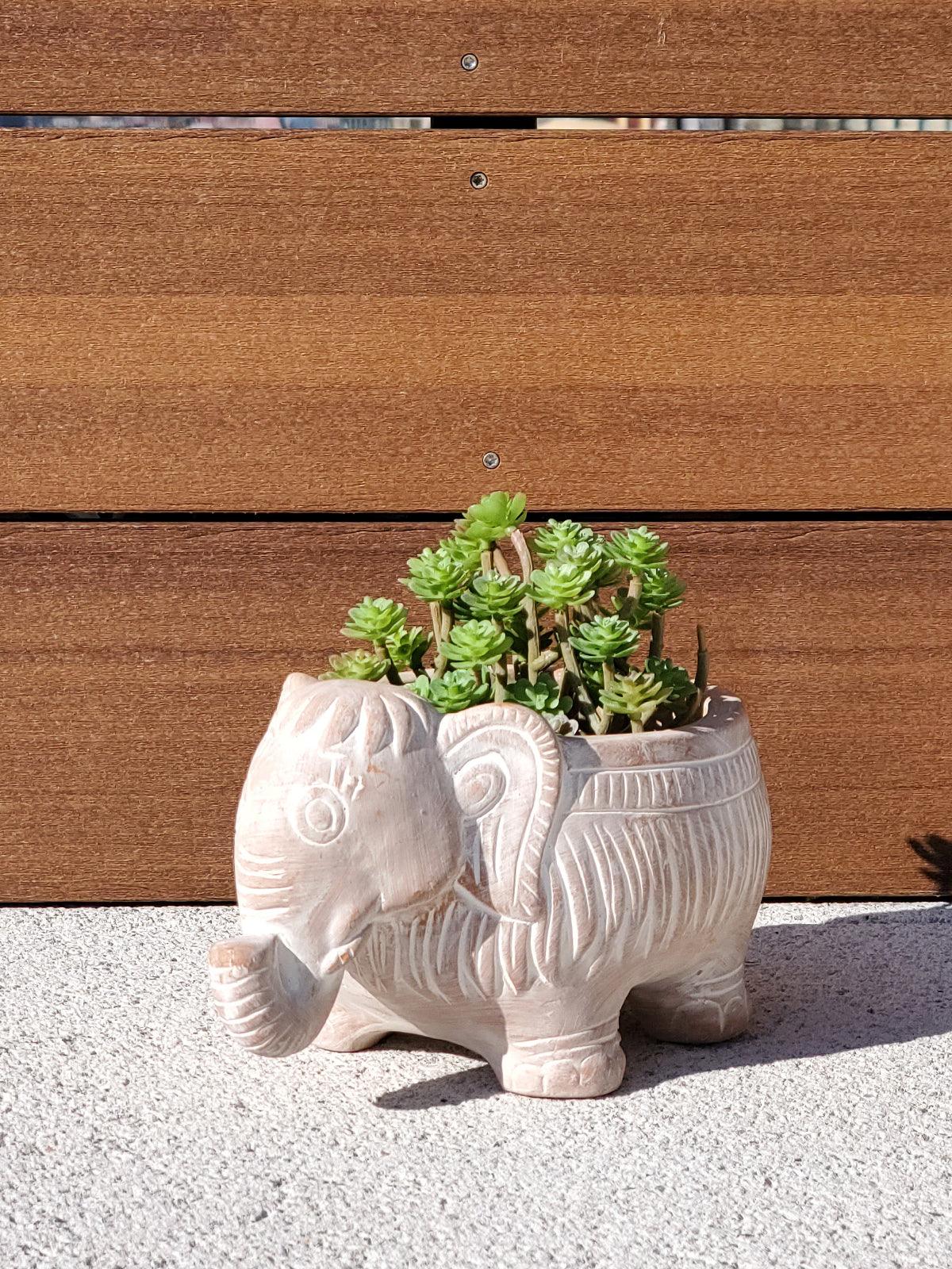 Elephant Terracotta Pot - Plant Paradise Boutique