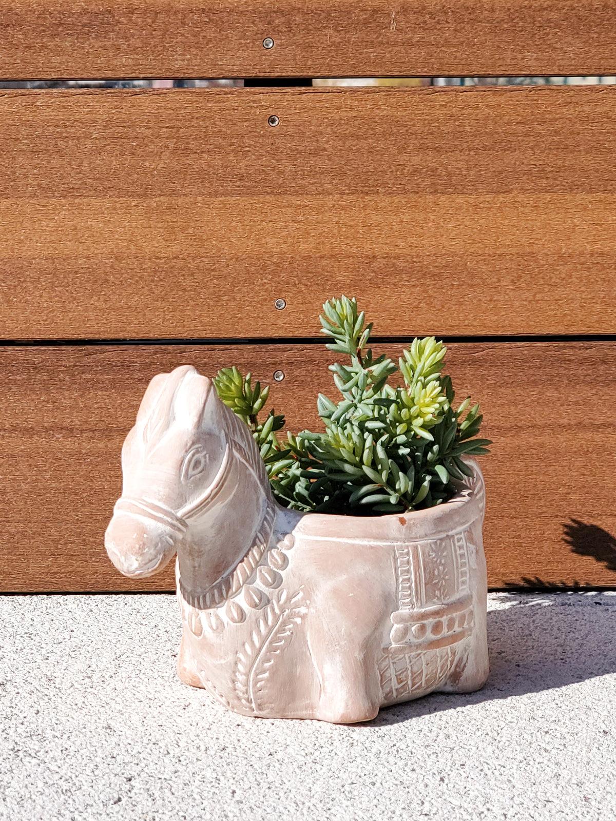 Horse Terracotta Pot - Plant Paradise Boutique