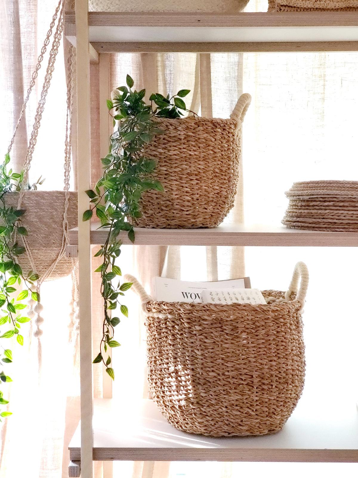 Savar Basket with White Handle - Plant Paradise Boutique