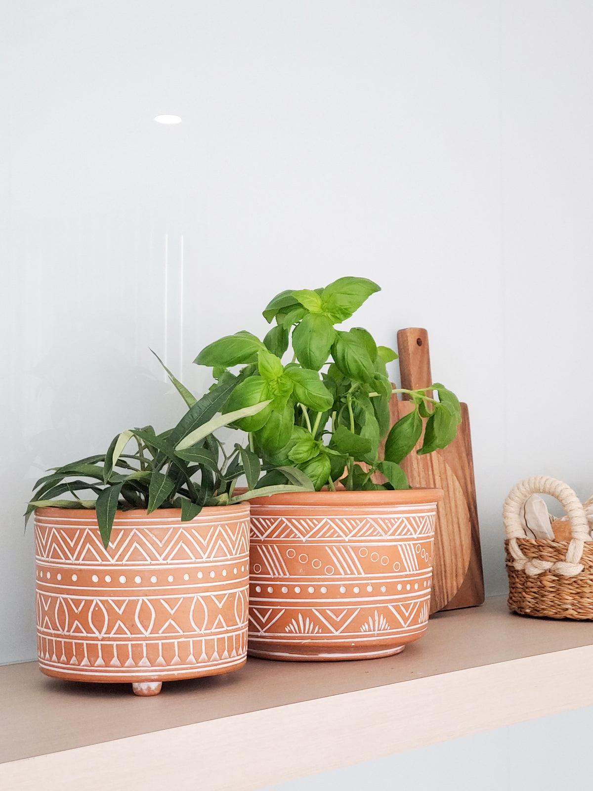 Large Hand Etched Terracotta Pot - Plant Paradise Boutique