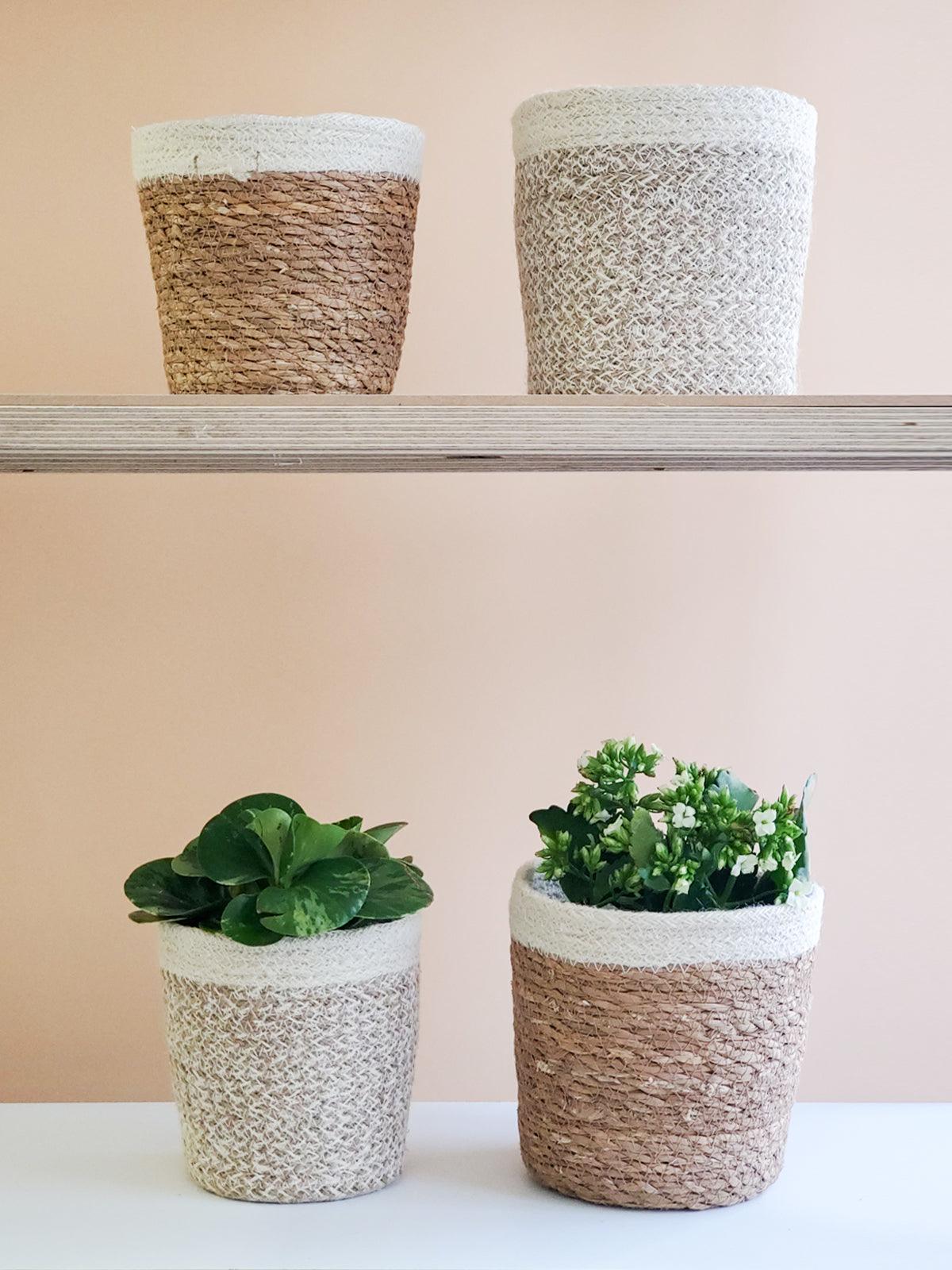 Agora Plant Basket - White - Plant Paradise Boutique