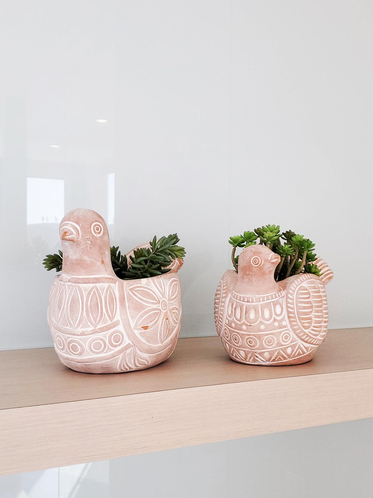 Spotted Dove Terracotta Pot - Plant Paradise Boutique