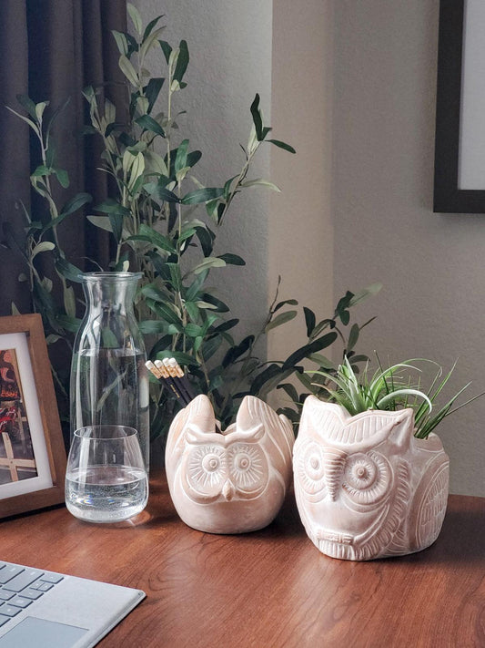 Horned Owl Terracotta Pot - Plant Paradise Boutique