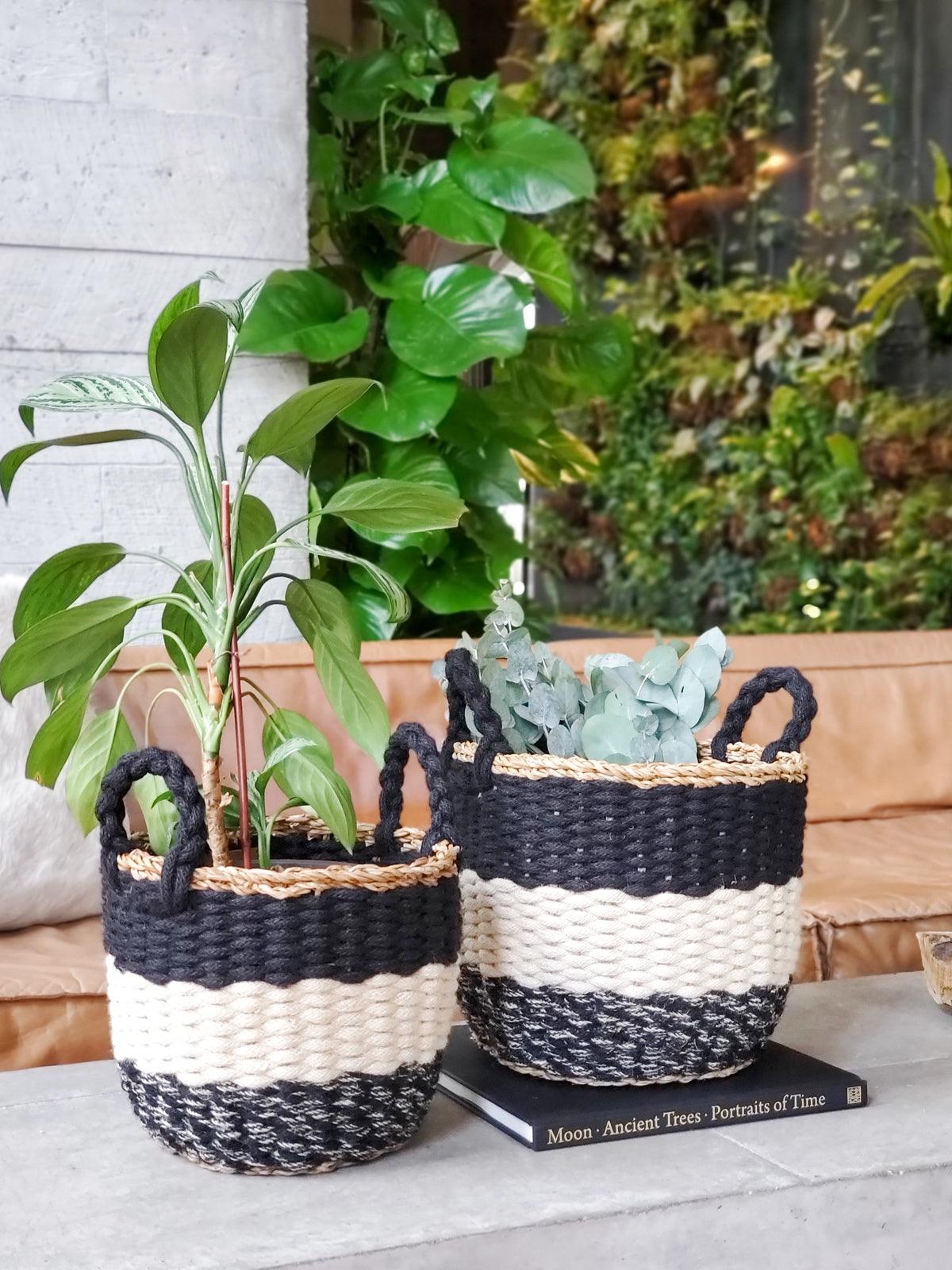 Ula Stripe Basket - Plant Paradise Boutique